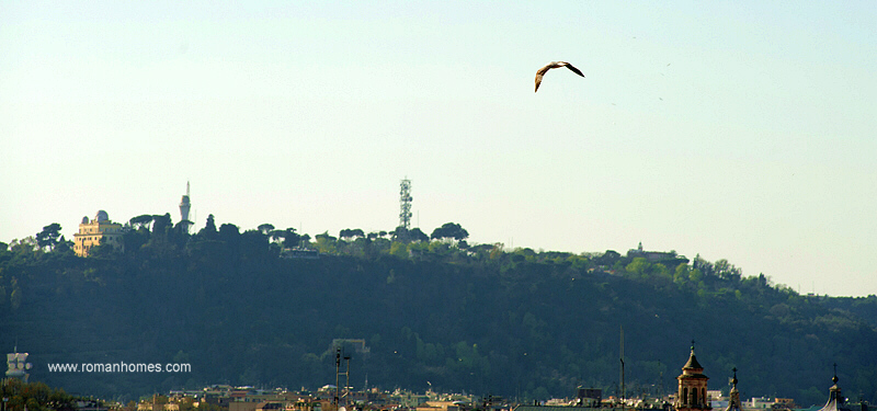 The hill of Monte Mario seen from the Spanish Steps Seagull penthouse